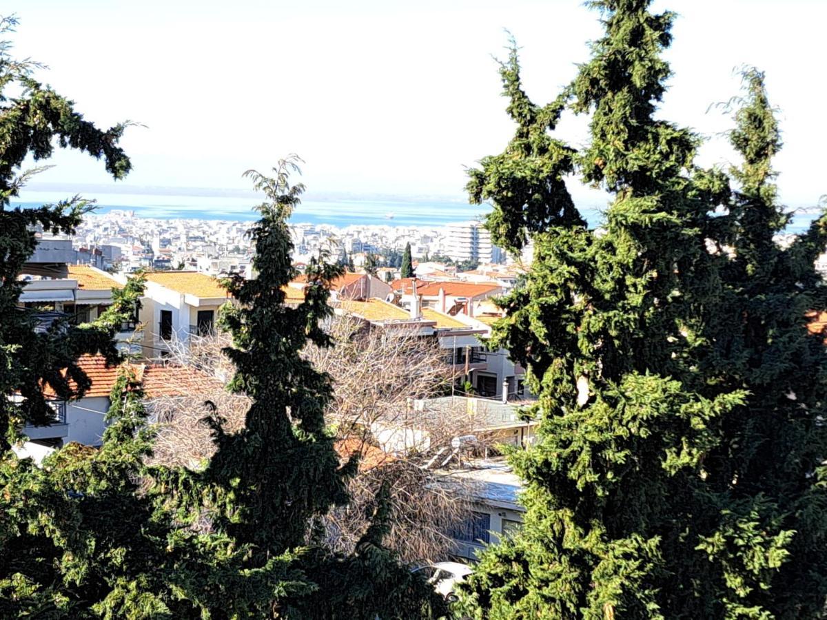 Όμορφο Διαμέρισμα- Σοφίτα Με Υπέροχη Θεα Soluň Exteriér fotografie