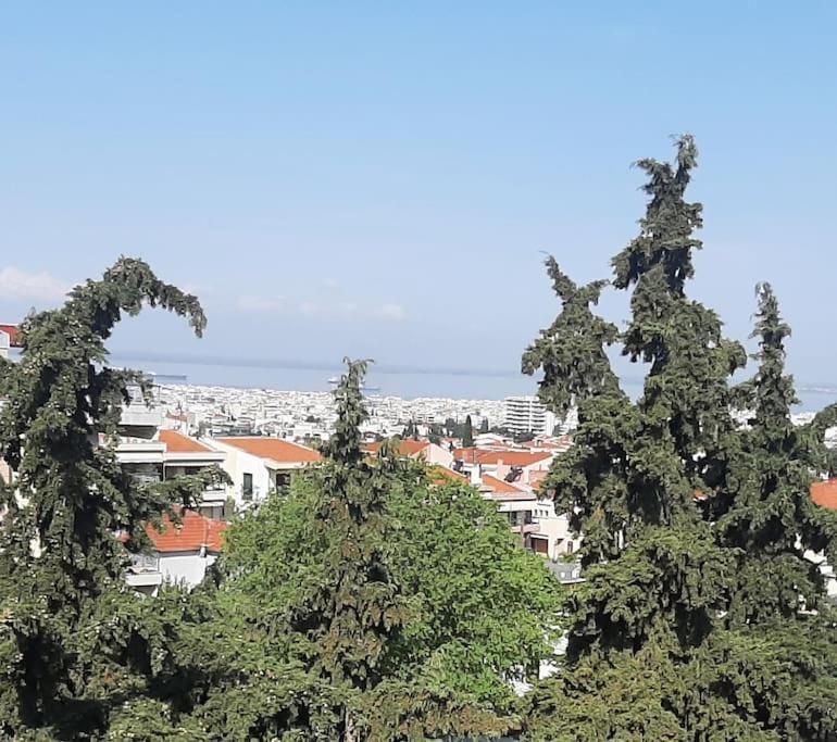 Όμορφο Διαμέρισμα- Σοφίτα Με Υπέροχη Θεα Soluň Exteriér fotografie